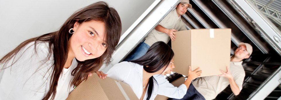 Professional Removalists Ravensdale